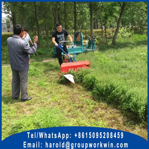 Self Propelled Windrower