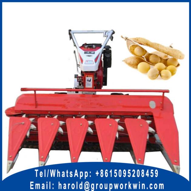 Self Propelled Windrower For Sale
