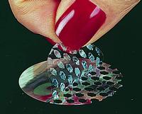 Tamper evident holograms