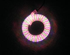 LED Rainbow Light Belt