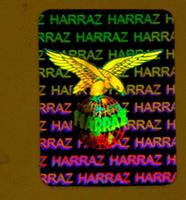 Hologram sticker