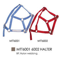 horse halters