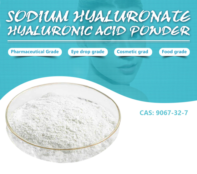 Hyaluronic acid powder