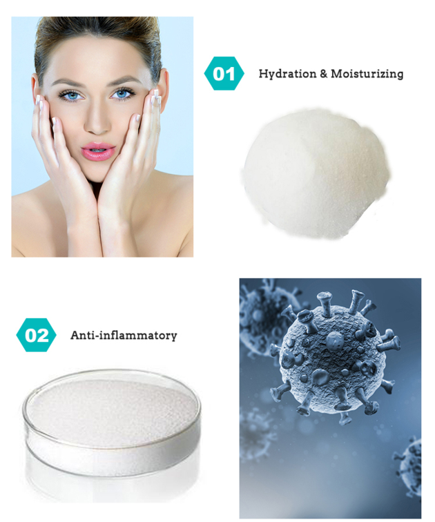 Hyaluronic Acid Powder