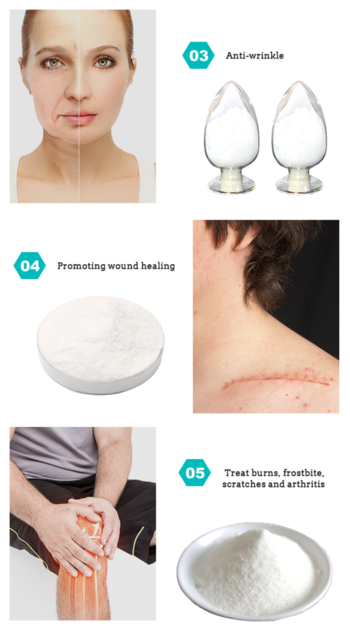 Hyaluronic Acid Powder