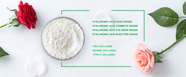 Collagen