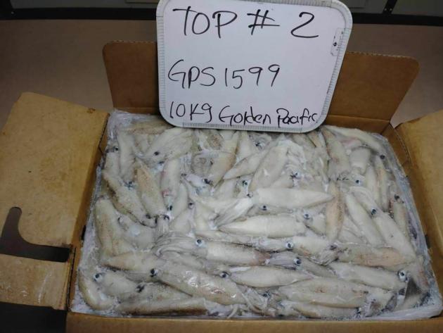 HADDOCK MACKEREL SQUID SALMON
