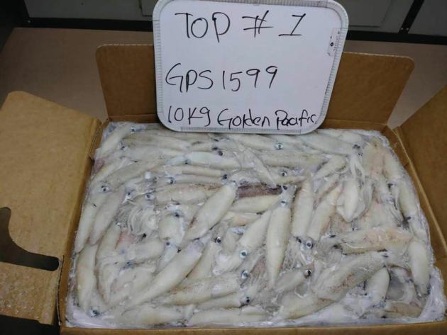 HADDOCK MACKEREL SQUID SALMON