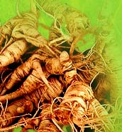 Aromatic Herbs,Culinary Herbs,Ayurvedic Herbs,Remedial Herbs