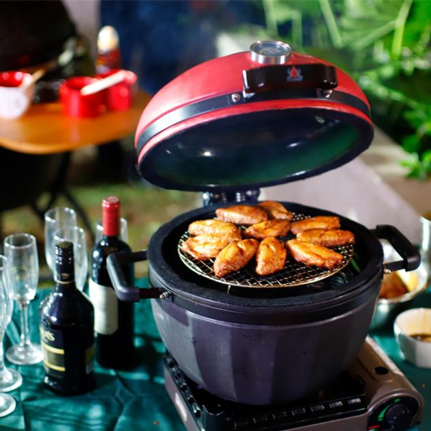 Innovative 13 Quot Indoor Kamado BBQ