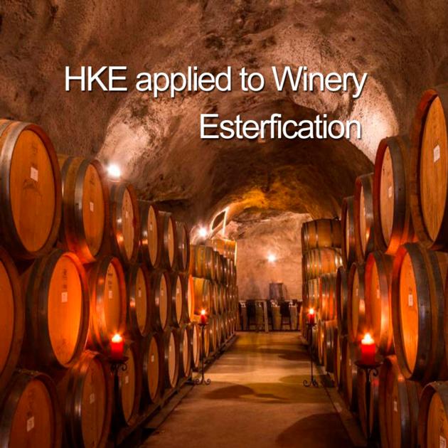 HKE Wine Sober Ester Stick Application