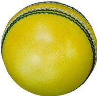 Indoor Cricket Ball