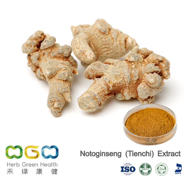 Notoginseng (Tienchi) Extract