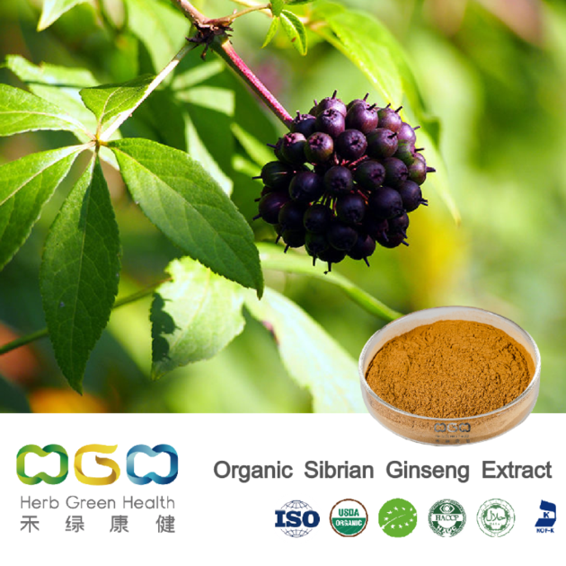 Organic Sibrian Ginseng Extract