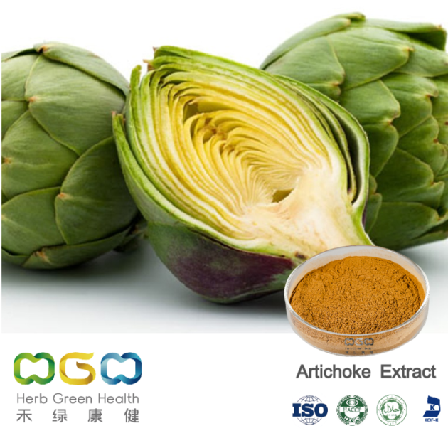 Artichoke Extract