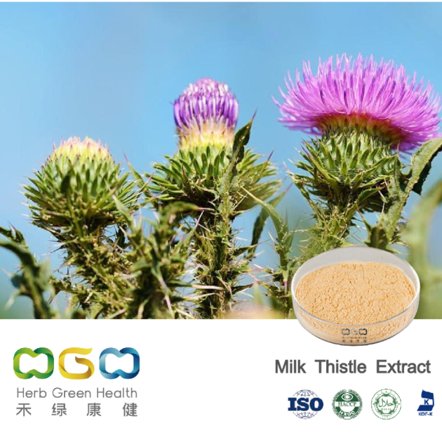 Milk Thistle Extract