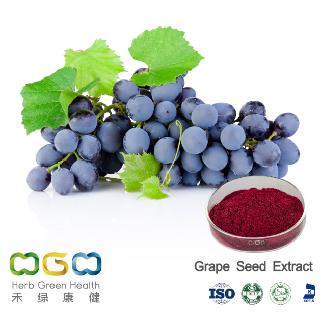 Grape Seed Extract