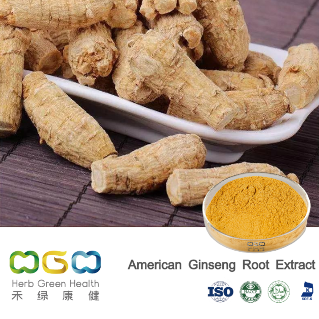 American Ginseng Root Extract