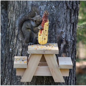 Wooden squirrel picnic table feeder