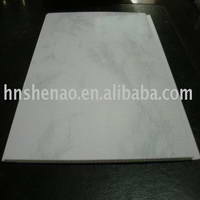 pvc ceiling panel