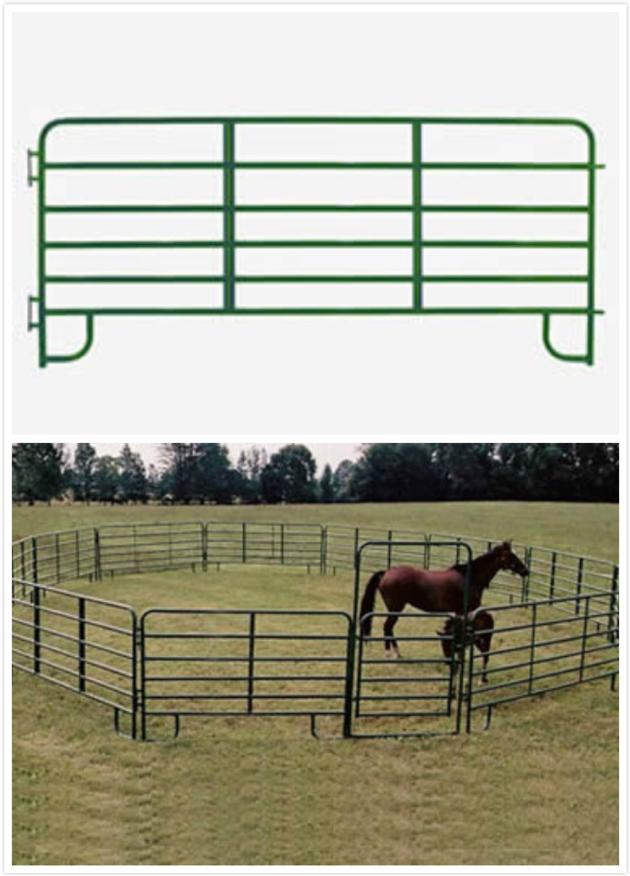 Horse Panels