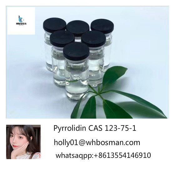 Raw Material Pyrrolidine N Methyl Pyrrolidine CAS 123-75-1 for Medical Use(holly01@whbosman.com
