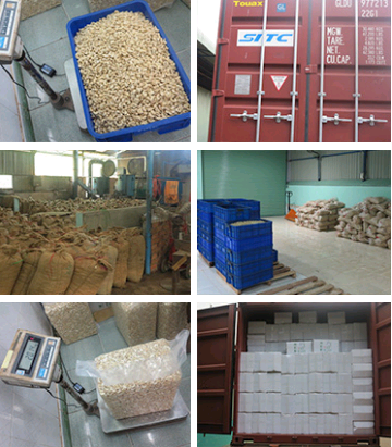 Cashew Nuts And Kernels