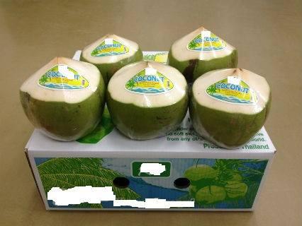 FRESH DIAMOND COCONUT HEAD SHAPPED