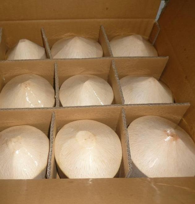 FRESH DIAMOND COCONUT HEAD SHAPPED