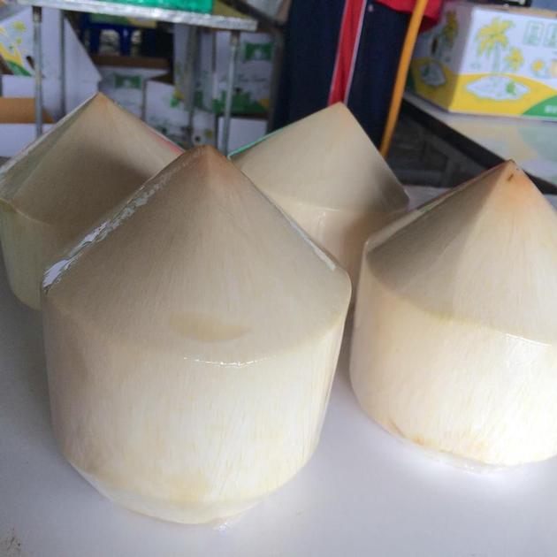 FRESH DIAMOND COCONUT HEAD SHAPPED