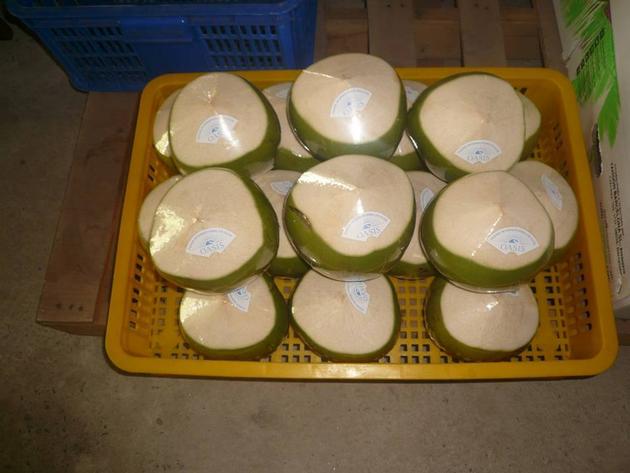 FRESH DIAMOND COCONUT HEAD SHAPPED