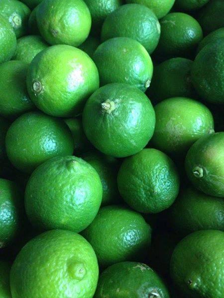 FRESH LIME FOR SALE