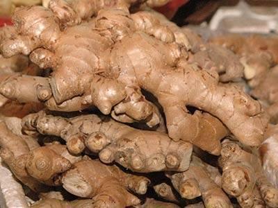 FRESH GINGER FOR SALE