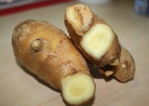 FRESH GINGER FOR SALE