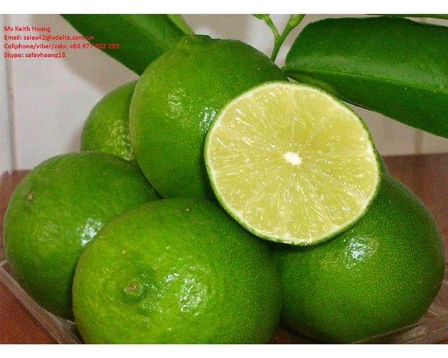 FRESH LIME FOR SALE