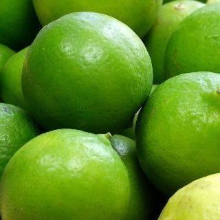 FRESH LIME FOR SALE