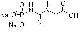 Creatine phosphate disodium