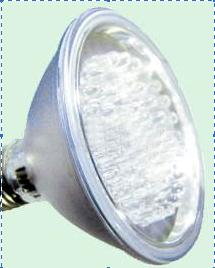 LED Lamp Cup