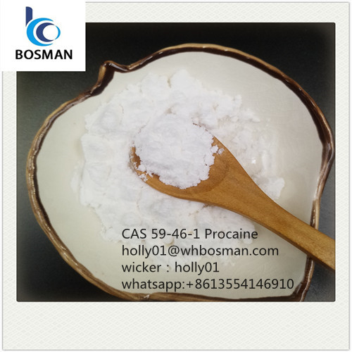CAS 59-46-1 Procaine bulk price (holly01@whbosman.com