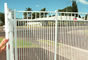 Galvanized Chain Link Fence,Aluminum Fence,Coated Chain Link Fence