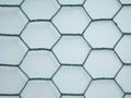 Hexagonal Wire Netting
