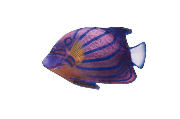 Neoprene Pouch