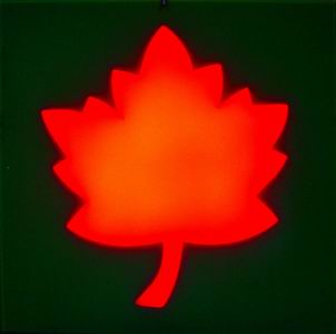 LED Dance Floor