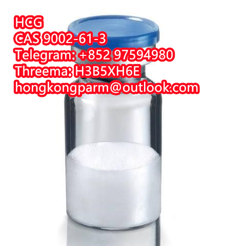 China Original Real HCG 5000iu For