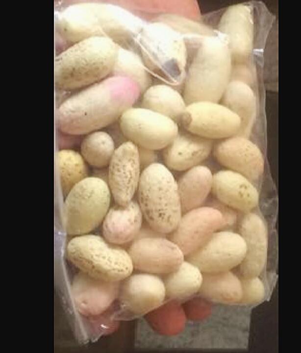 Bitter Kola
