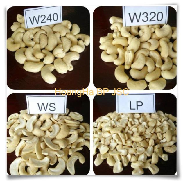 Cashew Nuts and Kernels