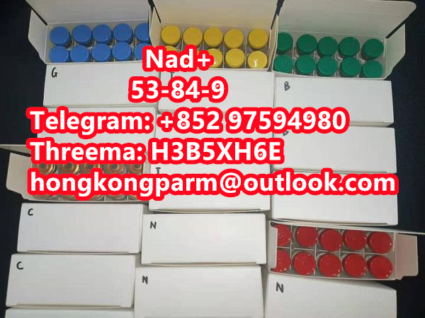 Nad Nicotinamide Adenine Dinucleotide Purity 99