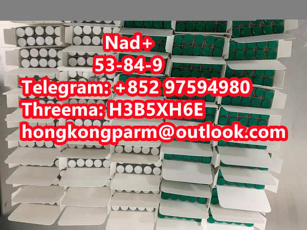 Nad Nicotinamide Adenine Dinucleotide Purity 99