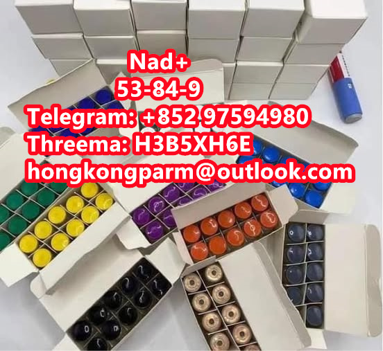 Nad+ Nicotinamide Adenine Dinucleotide Purity 99% Factory direct sales Wholesale Price CAS 53-84-9 