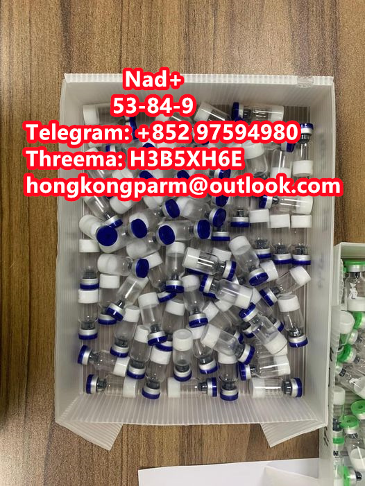 Nad Nicotinamide Adenine Dinucleotide Purity 99